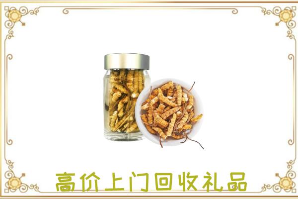 宜良周边回收虫草